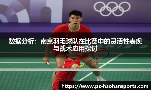 数据分析:南京羽毛球队在比赛中的灵活性表现与战术应用探讨