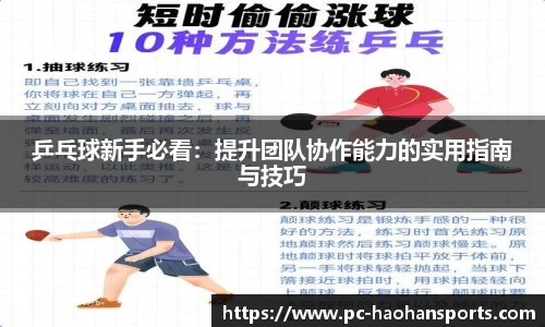 乒乓球新手必看:提升团队协作能力的实用指南与技巧